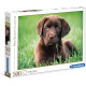 Puzzle Clementoni 500 piezas Chocolate Puppy