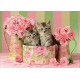 Puzzle Educa 500 piezas Gatitos con Rosas