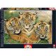 Puzzle Educa 500 piezas Pequeños Tigres