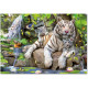 Puzzle Educa 1000 piezas Tigres Blancos de Bengala